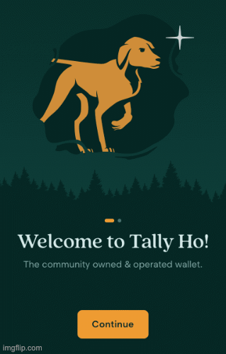 Tally Ho import wallet by Seed from a fresh installation